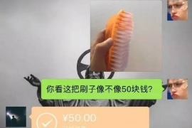 定西融资清欠服务